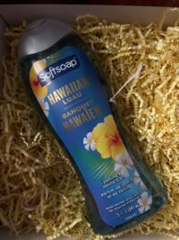 Softsoap Body Wash Hawaiian Luau Jasmine & Vanilla  20oz