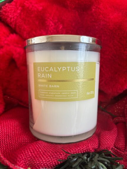 B&B [Single Wick Candle] Collection: Eucalyptus Rain