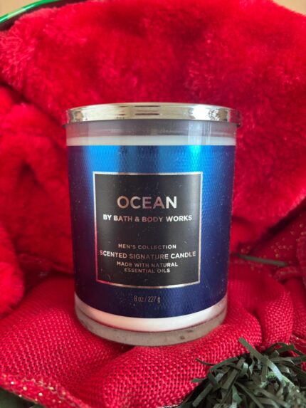 B&B [Single Wick Candle] Collection: Ocean