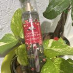 B&B Women Shop Collection: [Women Mist] Raspberry Holiday Pie Bar