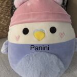 Squishmallows Original 14 Inch "Panini the Parakeet" with Hat Valentine