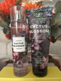 B&B Women Shop Collection: [Women 2pc Set] Cactus Blossom