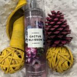 B&B Women Shop Collection: [Mist] Cactus Blossom
